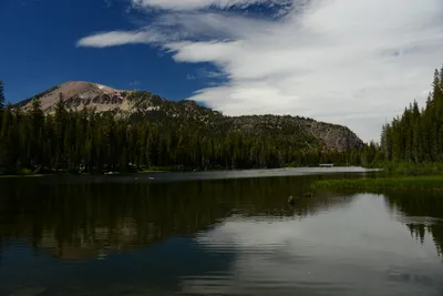 DSC_0016 (Large).JPG